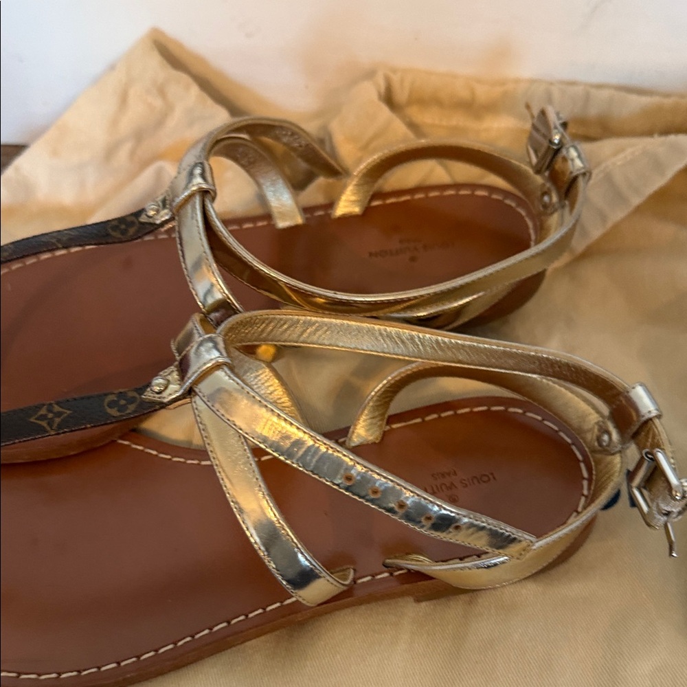 Louis Vuitton Silver and Brown Sandals - Picture 3 of 5
